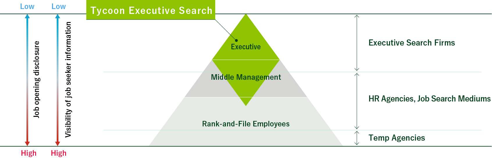 Tycoon Executive Search Target Domain