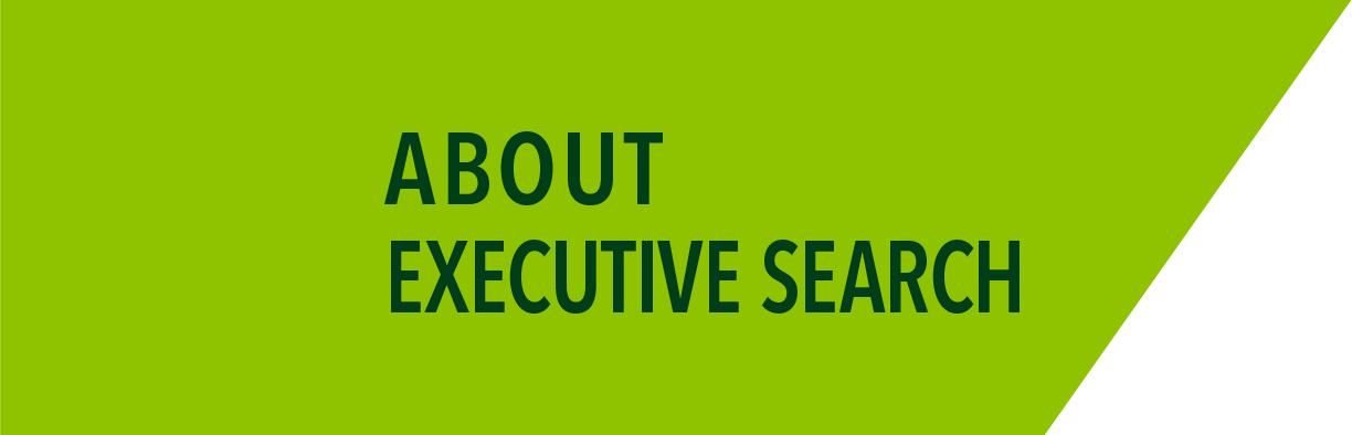 ABOUT EXECUTIVE SEARCH