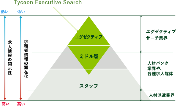 Tycoon Executive Search ターゲット領域