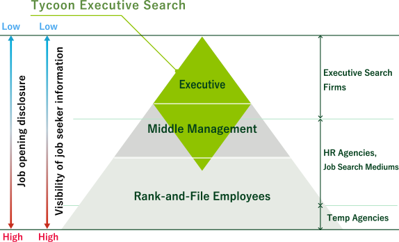 Tycoon Executive Search Target Domain
